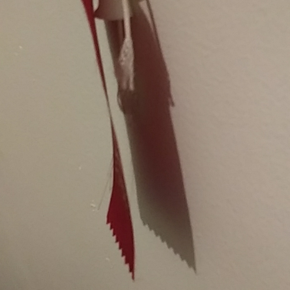 Ribbon - Picture 2 of 4